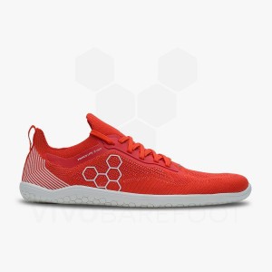 Vivobarefoot Primus Lite Knit Trening Čevlji Ženski Rdeče | SI258OB